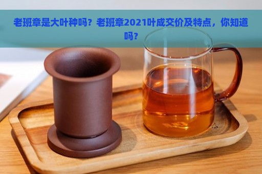 老班章是大叶种吗？老班章2021叶成交价及特点，你知道吗？