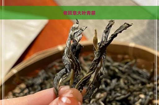 老班章大叶青茶