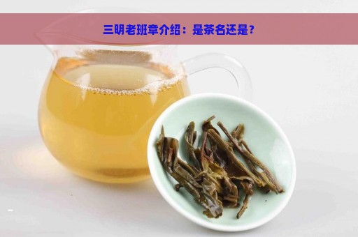 三明老班章介绍：是茶名还是？