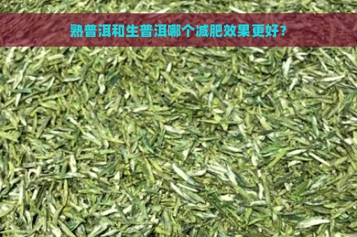 熟普洱和生普洱哪个减肥效果更好？