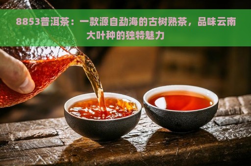 8853普洱茶：一款源自勐海的古树熟茶，品味云南大叶种的独特魅力