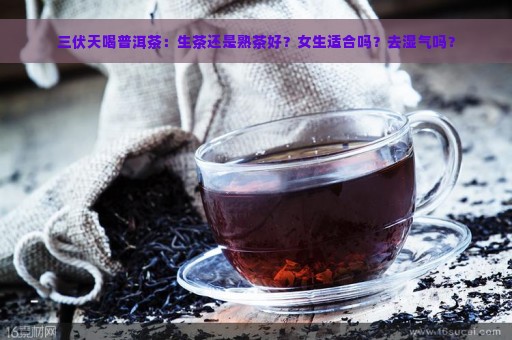 三伏天喝普洱茶：生茶还是熟茶好？女生适合吗？去湿气吗？