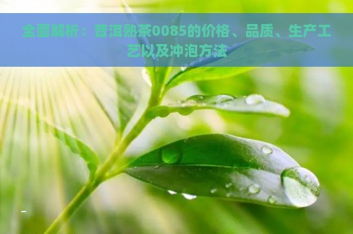 全面解析：普洱熟茶0085的价格、品质、生产工艺以及冲泡方法