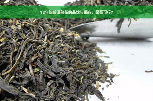 12年陈普洱熟茶的品饮与保存：是否可行？