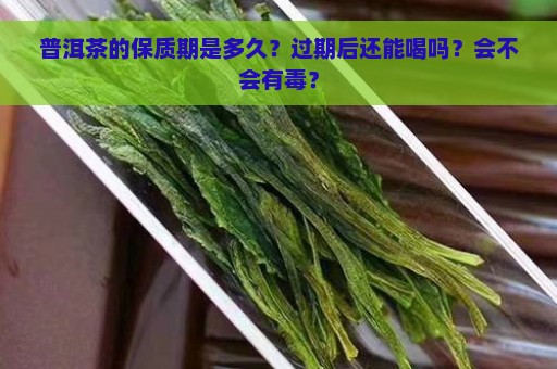 普洱茶的保质期是多久？过期后还能喝吗？会不会有毒？