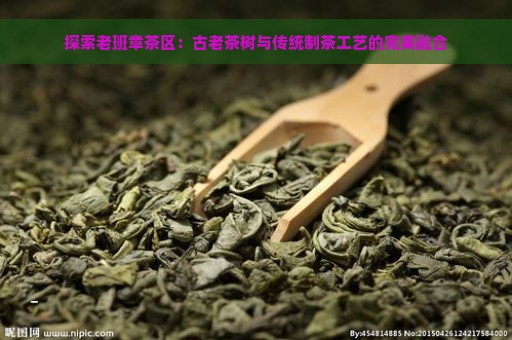 探索老班章茶区：古老茶树与传统制茶工艺的完美融合