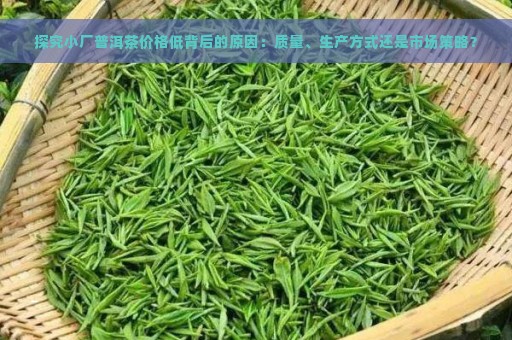 探究小厂普洱茶价格低背后的原因：质量、生产方式还是市场策略？