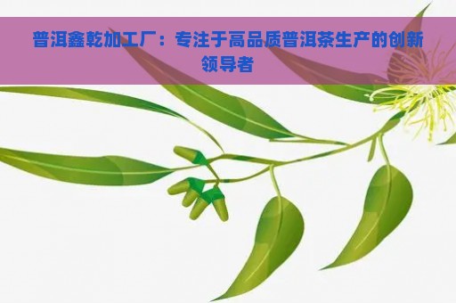 普洱鑫乾加工厂：专注于高品质普洱茶生产的创新领导者