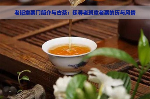 老班章寨门简介与古茶：探寻老班章老寨的历与风情