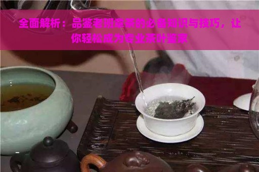 全面解析：品鉴老班章茶的必备知识与技巧，让你轻松成为专业茶叶鉴家