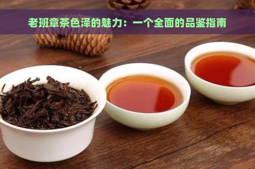 老班章茶色泽的魅力：一个全面的品鉴指南