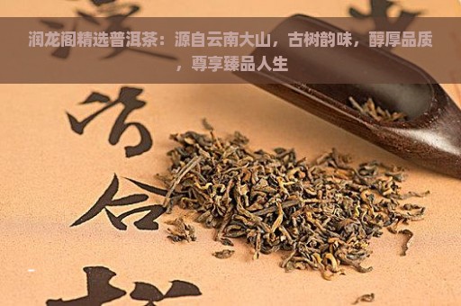 润龙阁精选普洱茶：源自云南大山，古树韵味，醇厚品质，尊享臻品人生