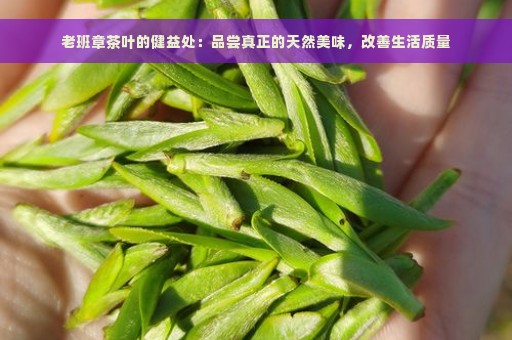 老班章茶叶的健益处：品尝真正的天然美味，改善生活质量