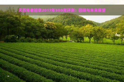 天百年老班章2017年500克评测：回顾与未来展望