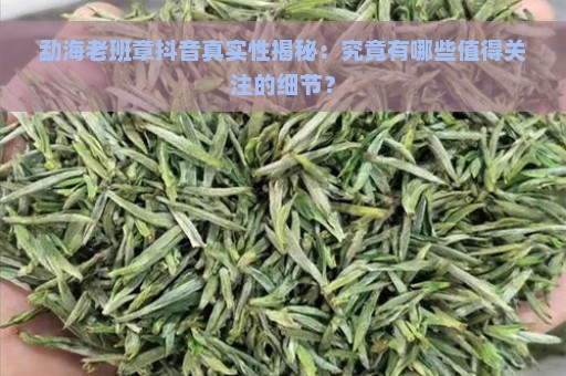 勐海老班章抖音真实性揭秘：究竟有哪些值得关注的细节？