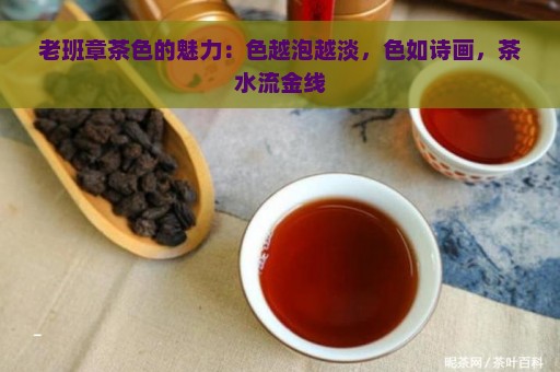 老班章茶色的魅力：色越泡越淡，色如诗画，茶水流金线