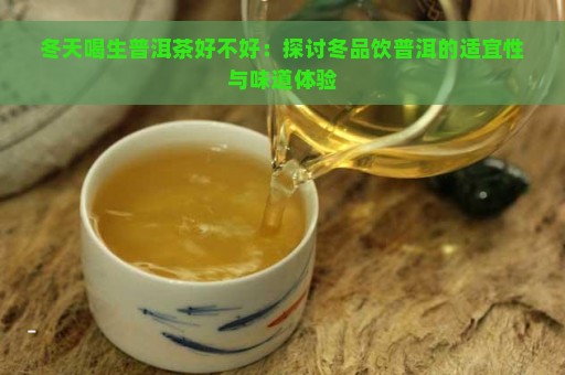 冬天喝生普洱茶好不好：探讨冬品饮普洱的适宜性与味道体验