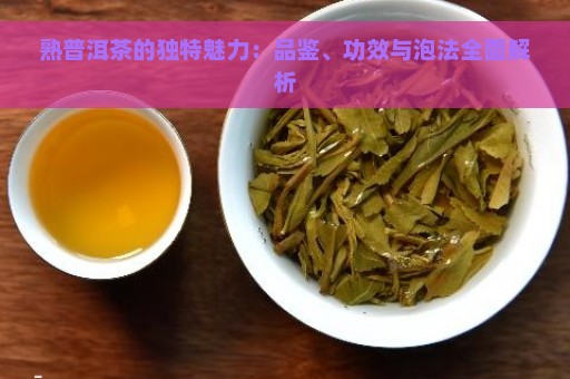 熟普洱茶的独特魅力：品鉴、功效与泡法全面解析