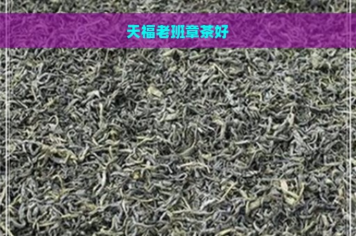 天福老班章茶好