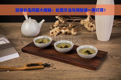 班章长毛问题大揭秘：处理方法与预防措一网打尽！