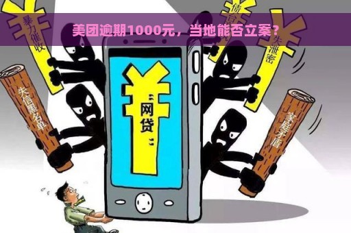 美团逾期1000元，当地能否立案？