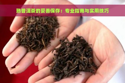 熟普洱茶的妥善保存：专业指南与实用技巧