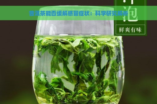 普洱茶能否缓解感冒症状：科学研究解析