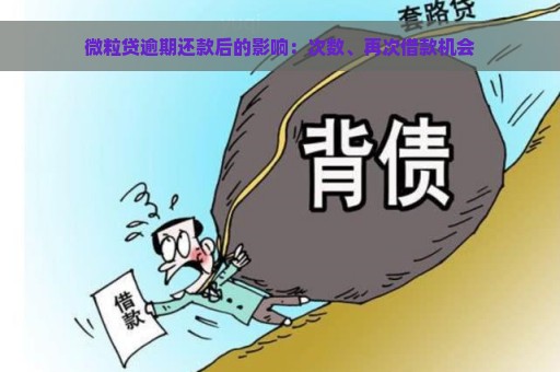 微粒贷逾期还款后的影响：次数、再次借款机会