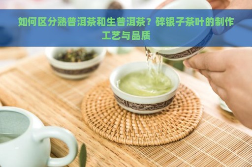 如何区分熟普洱茶和生普洱茶？碎银子茶叶的制作工艺与品质