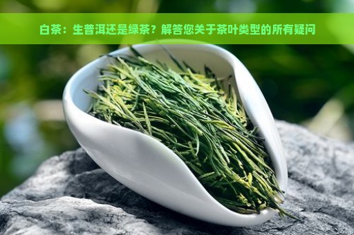 白茶：生普洱还是绿茶？解答您关于茶叶类型的所有疑问