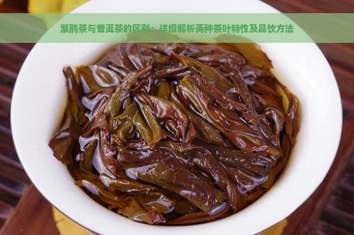 紫鹃茶与普洱茶的区别：详细解析两种茶叶特性及品饮方法