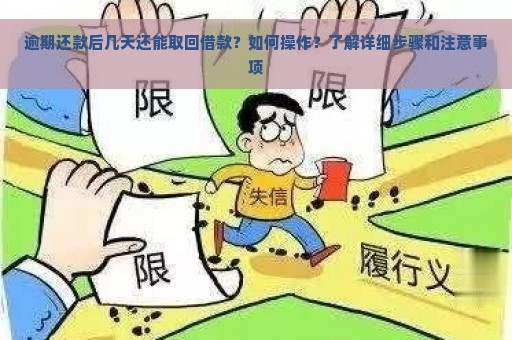 逾期还款后几天还能取回借款？如何操作？了解详细步骤和注意事项