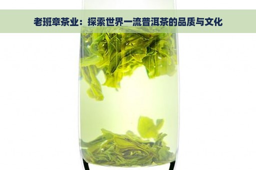 老班章茶业：探索世界一流普洱茶的品质与文化