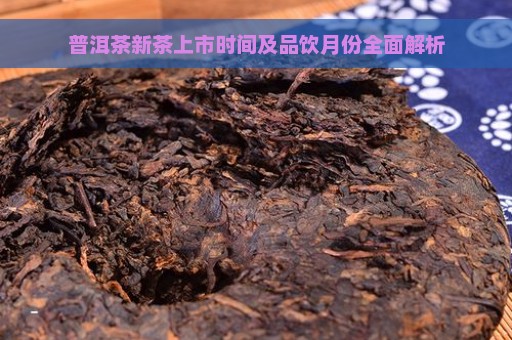 普洱茶新茶上市时间及品饮月份全面解析