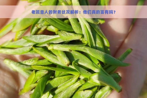 老班章人的财务状况解析：他们真的富有吗？