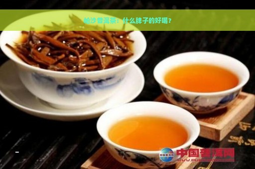 帕沙普洱茶：什么牌子的好喝？