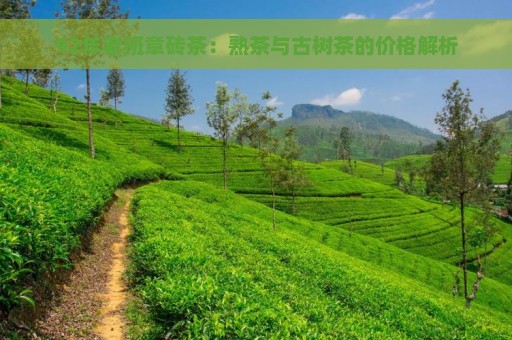 92年老班章砖茶：熟茶与古树茶的价格解析