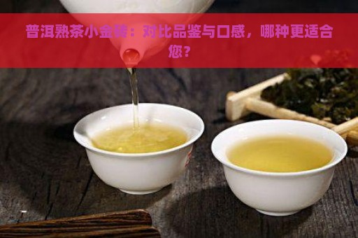 普洱熟茶小金砖：对比品鉴与口感，哪种更适合您？