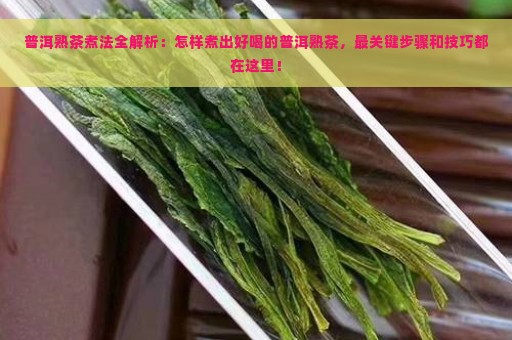 普洱熟茶煮法全解析：怎样煮出好喝的普洱熟茶，最关键步骤和技巧都在这里！