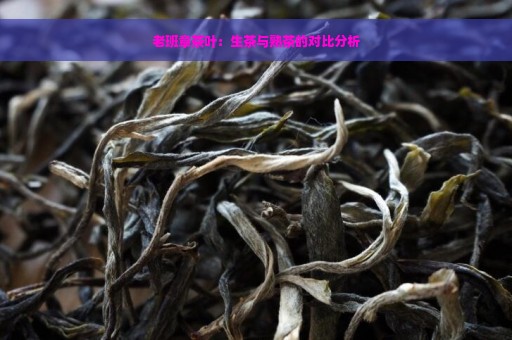 老班章茶叶：生茶与熟茶的对比分析