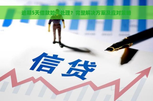 逾期5天借款如何处理？完整解决方案及应对策略