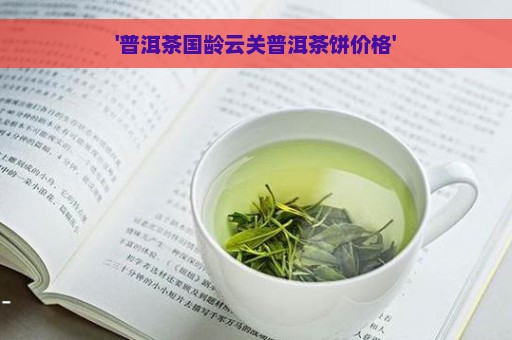 '普洱茶国龄云关普洱茶饼价格'