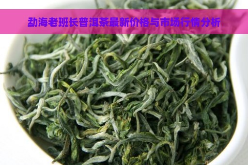 勐海老班长普洱茶最新价格与市场行情分析