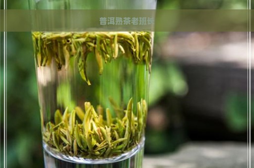 普洱熟茶老班长