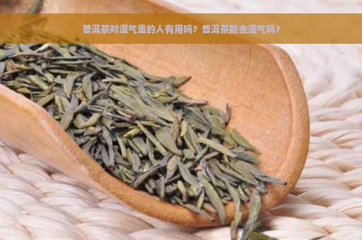 普洱茶对湿气重的人有用吗？普洱茶能去湿气吗？