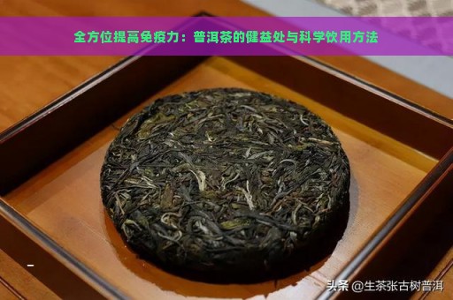 全方位提高免疫力：普洱茶的健益处与科学饮用方法