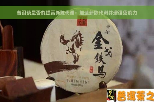 普洱茶是否能提高新陈代谢：加速新陈代谢并增强免疫力