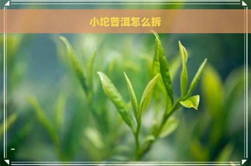 小坨普洱怎么拆