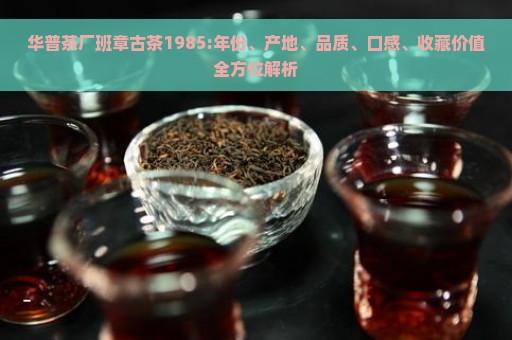 华普茶厂班章古茶1985:年份、产地、品质、口感、收藏价值全方位解析