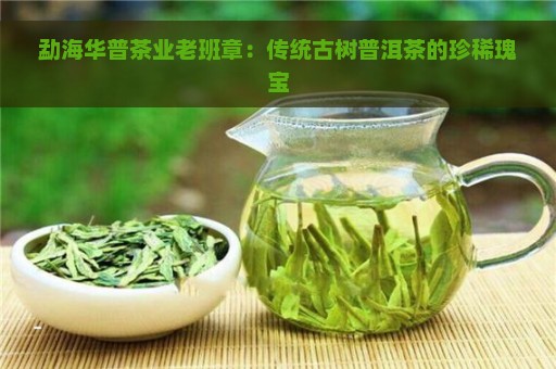 勐海华普茶业老班章：传统古树普洱茶的珍稀瑰宝